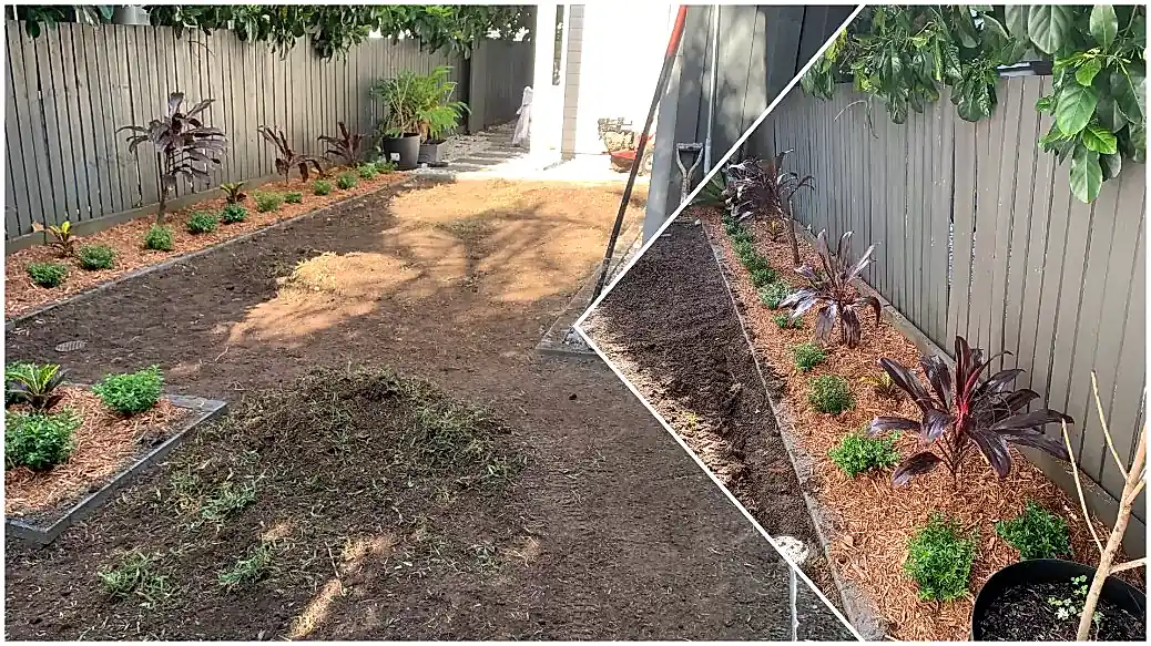 Garden beds mulched and lawn soil prepared during turf and mulch installation